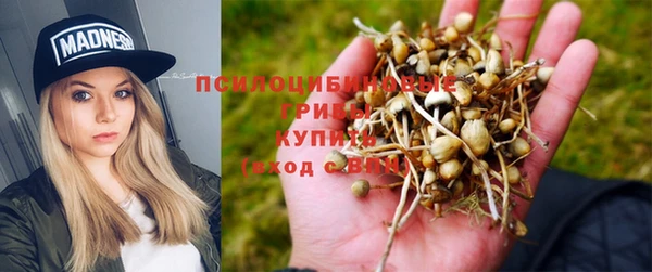 амфетамин Снежногорск